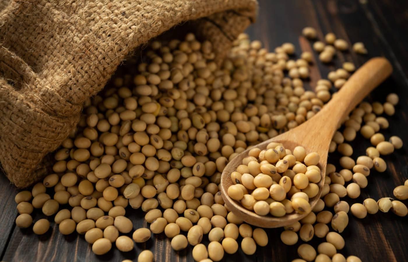 Soja e trigo hoje: confira as cotações para esta sexta-feira (6)